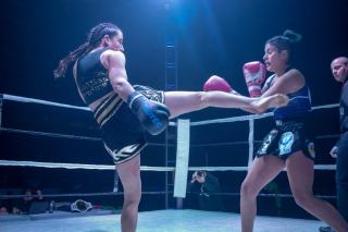 Pronostic boxe : analyser les combats WBC, WBA et IBF